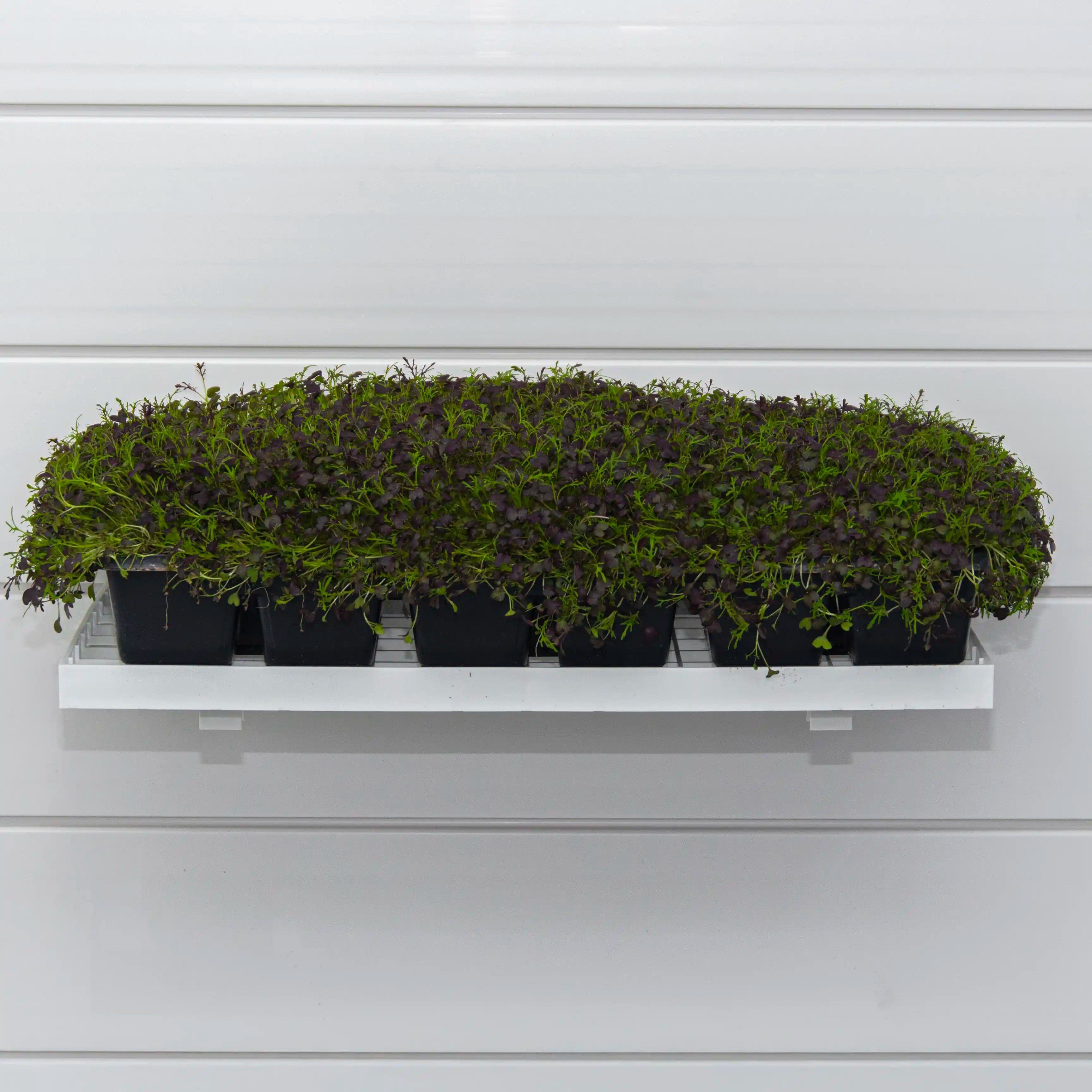 Grow Trays ( X2 Per Pack )