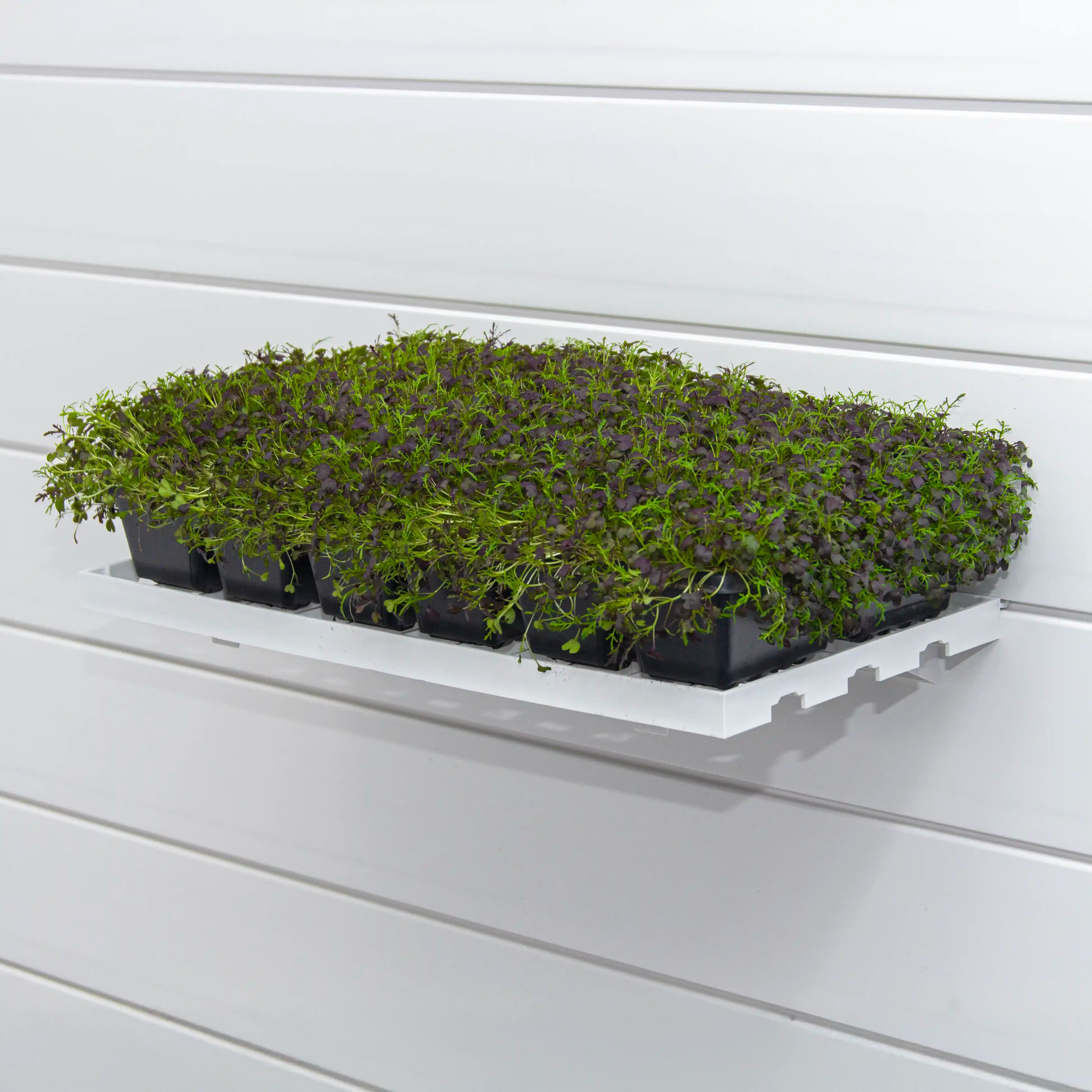 Grow Trays ( X2 Per Pack )