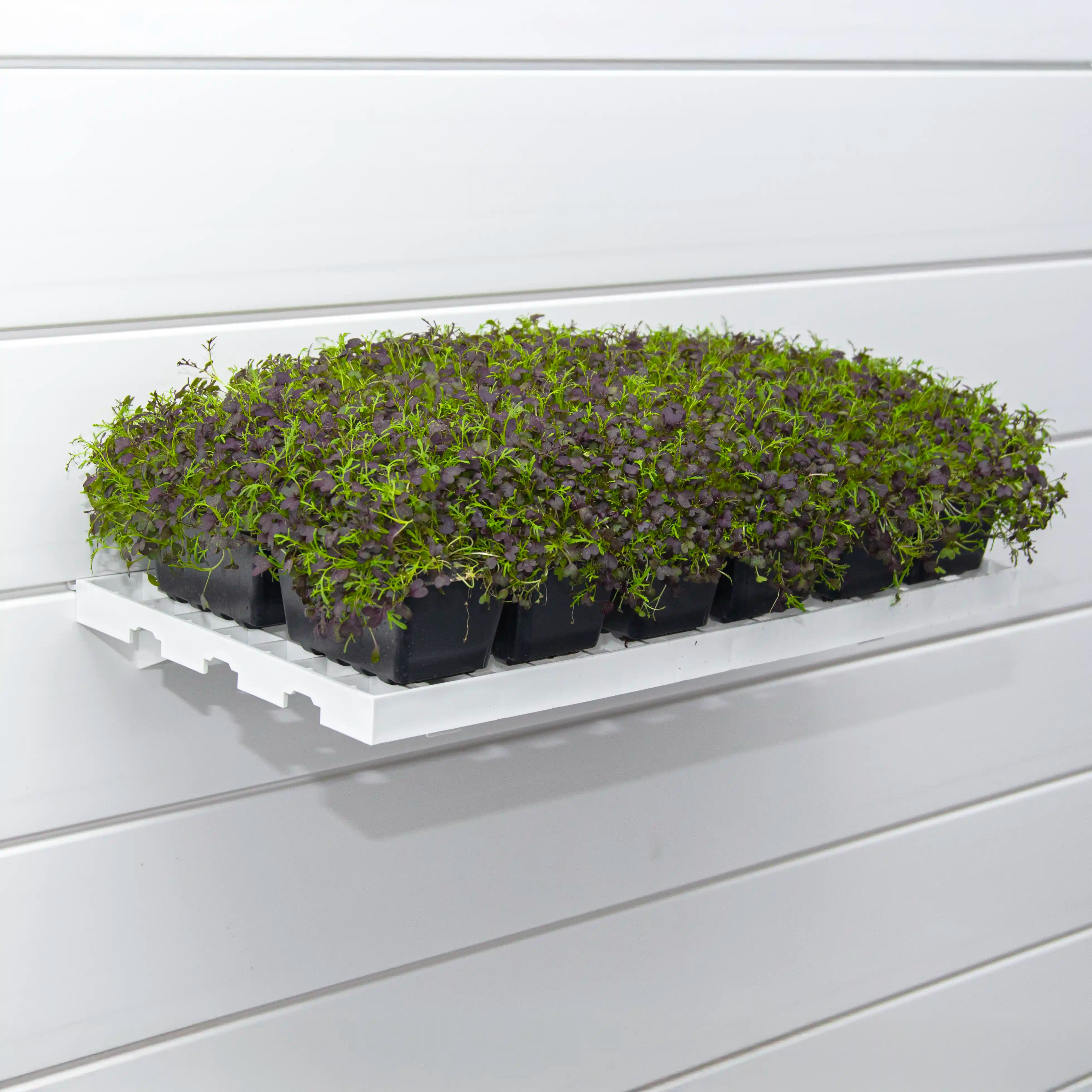 Grow Trays ( X2 Per Pack )