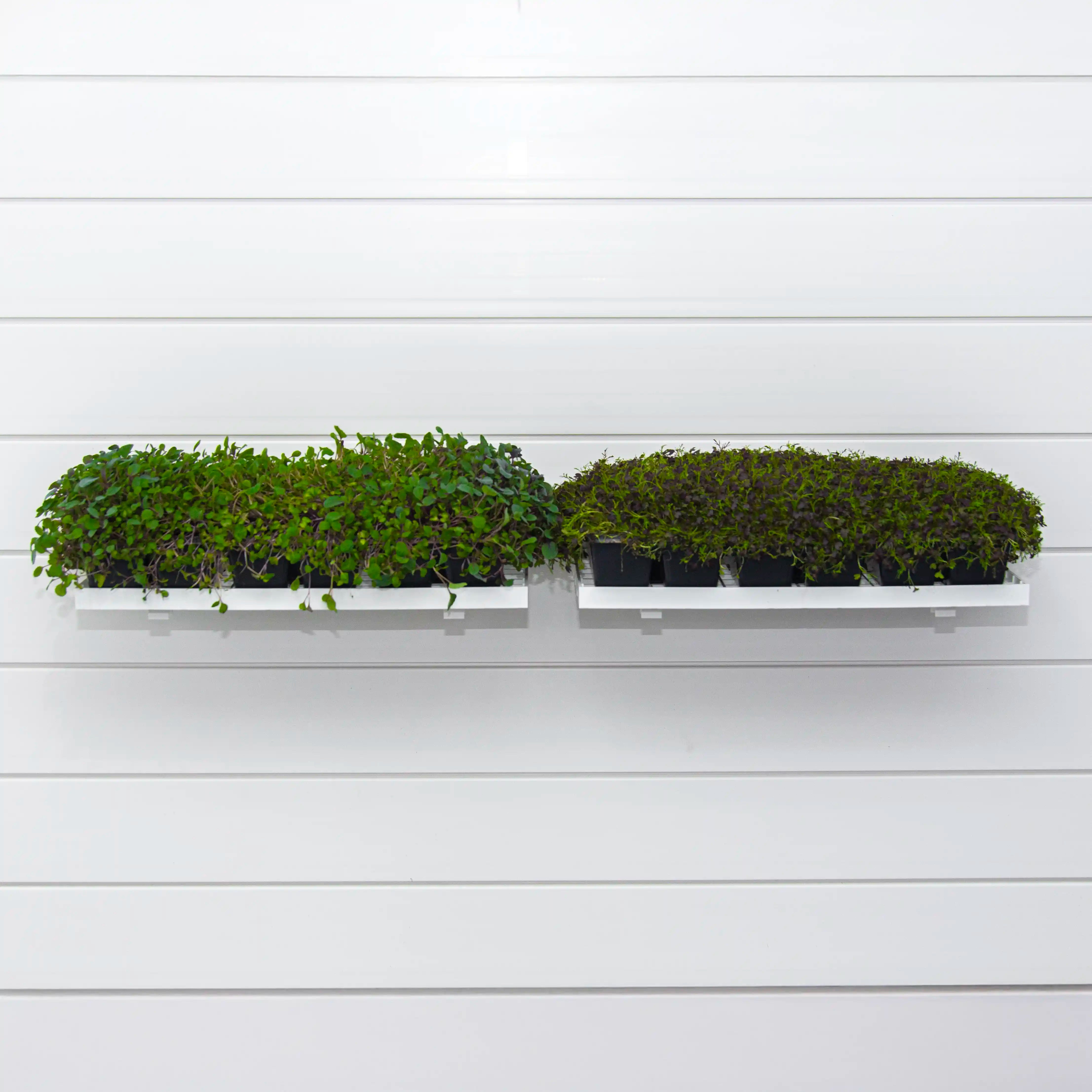 Grow Trays ( X2 Per Pack )