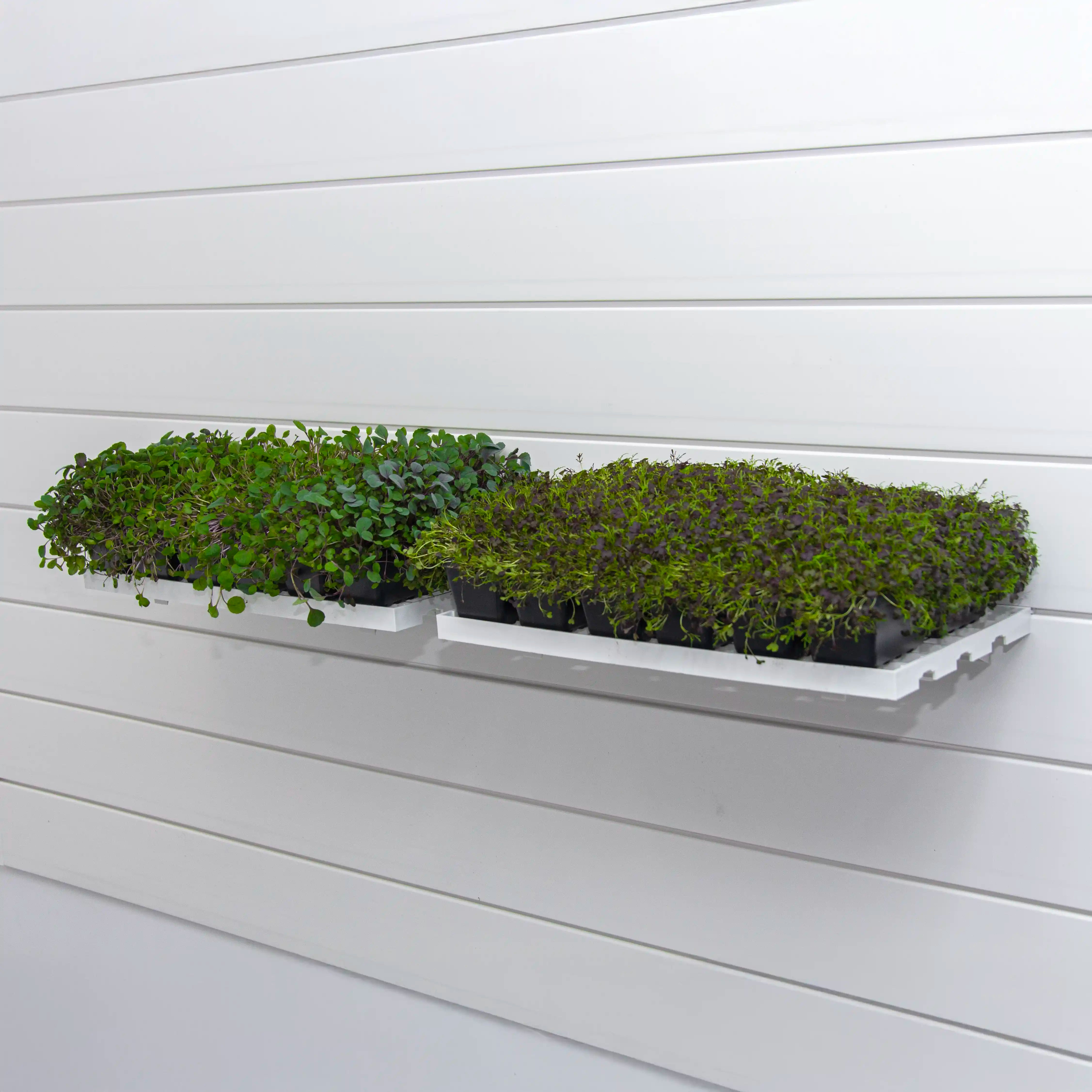 Grow Trays ( X2 Per Pack )