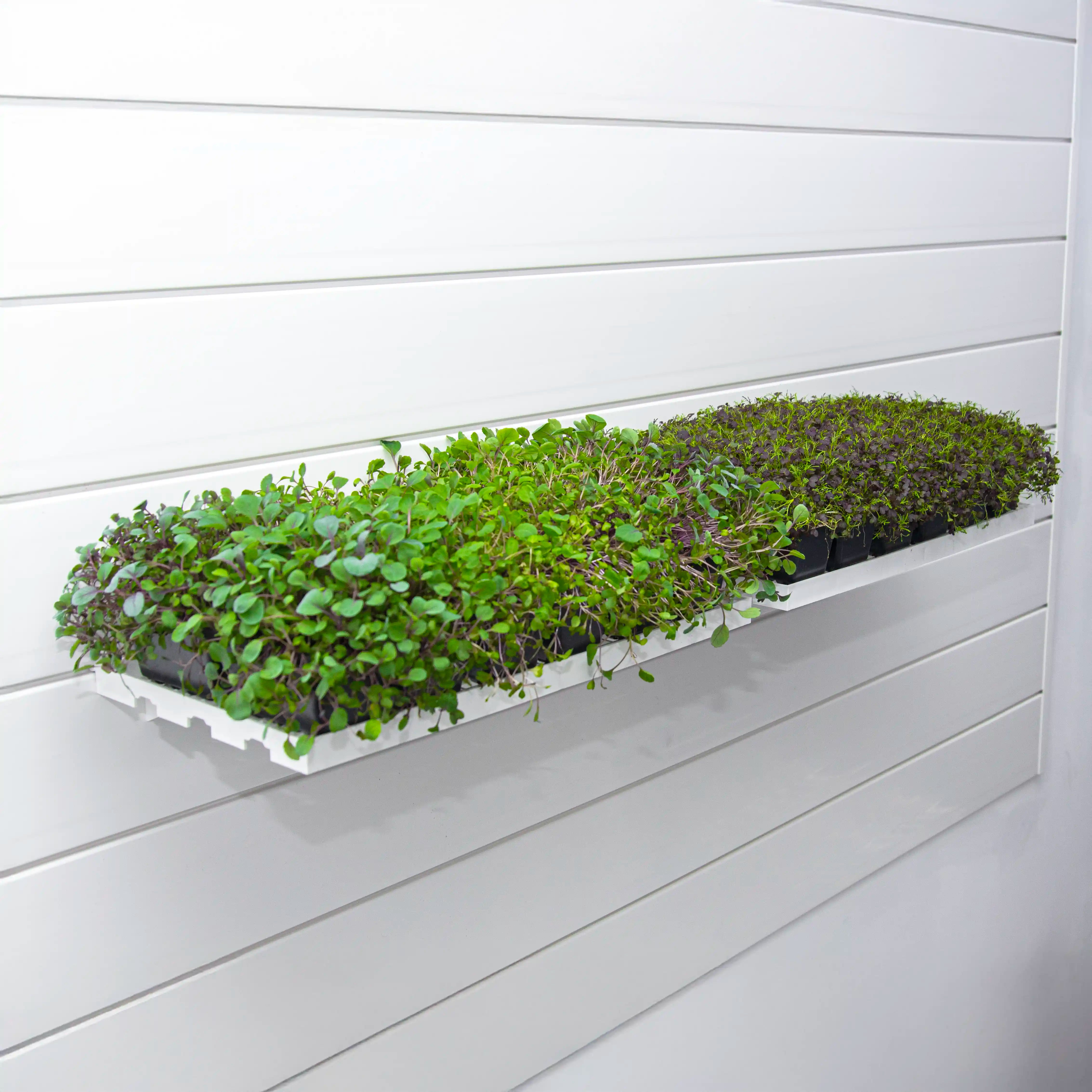 Grow Trays ( X2 Per Pack )