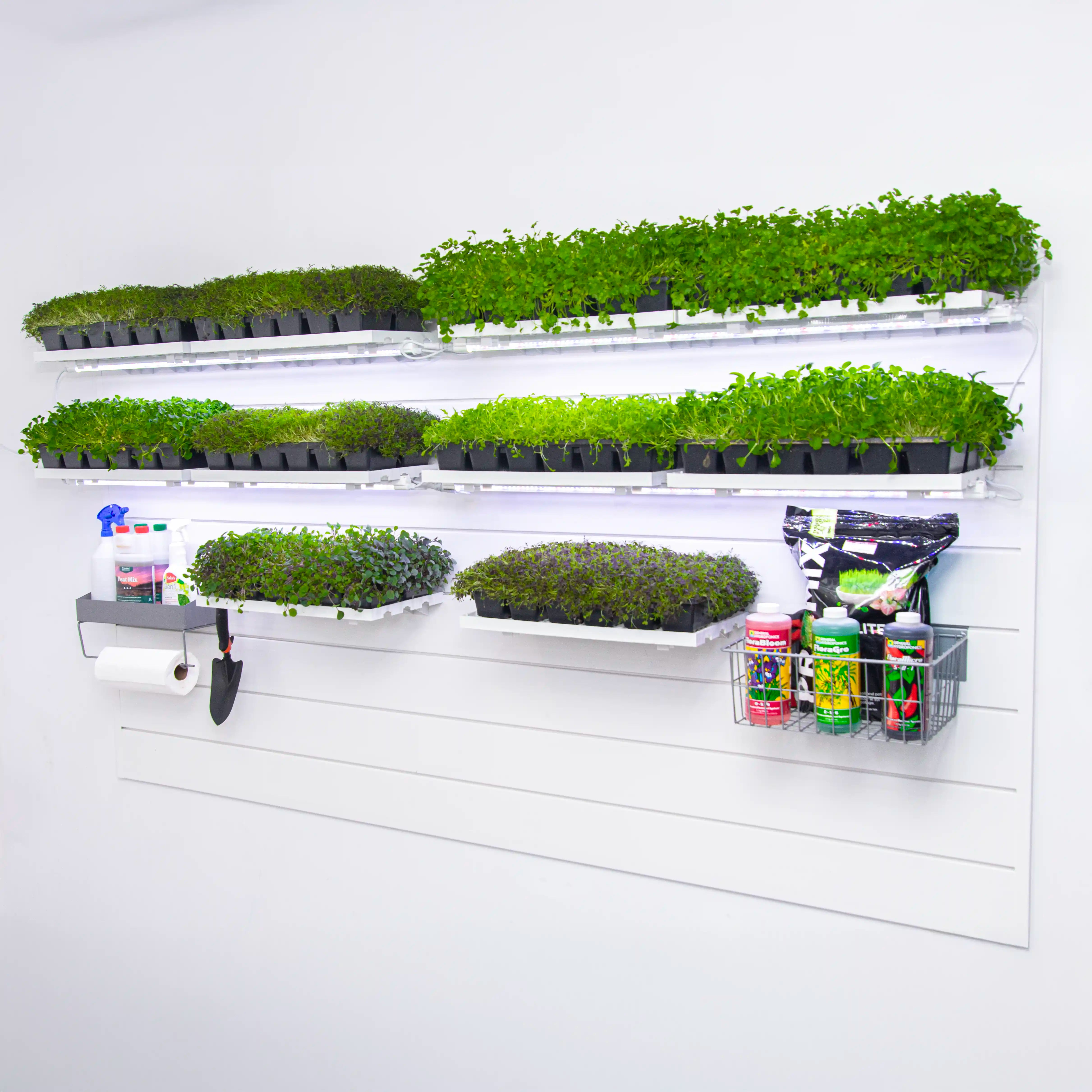 Full Plant Perch (Gold Kit)