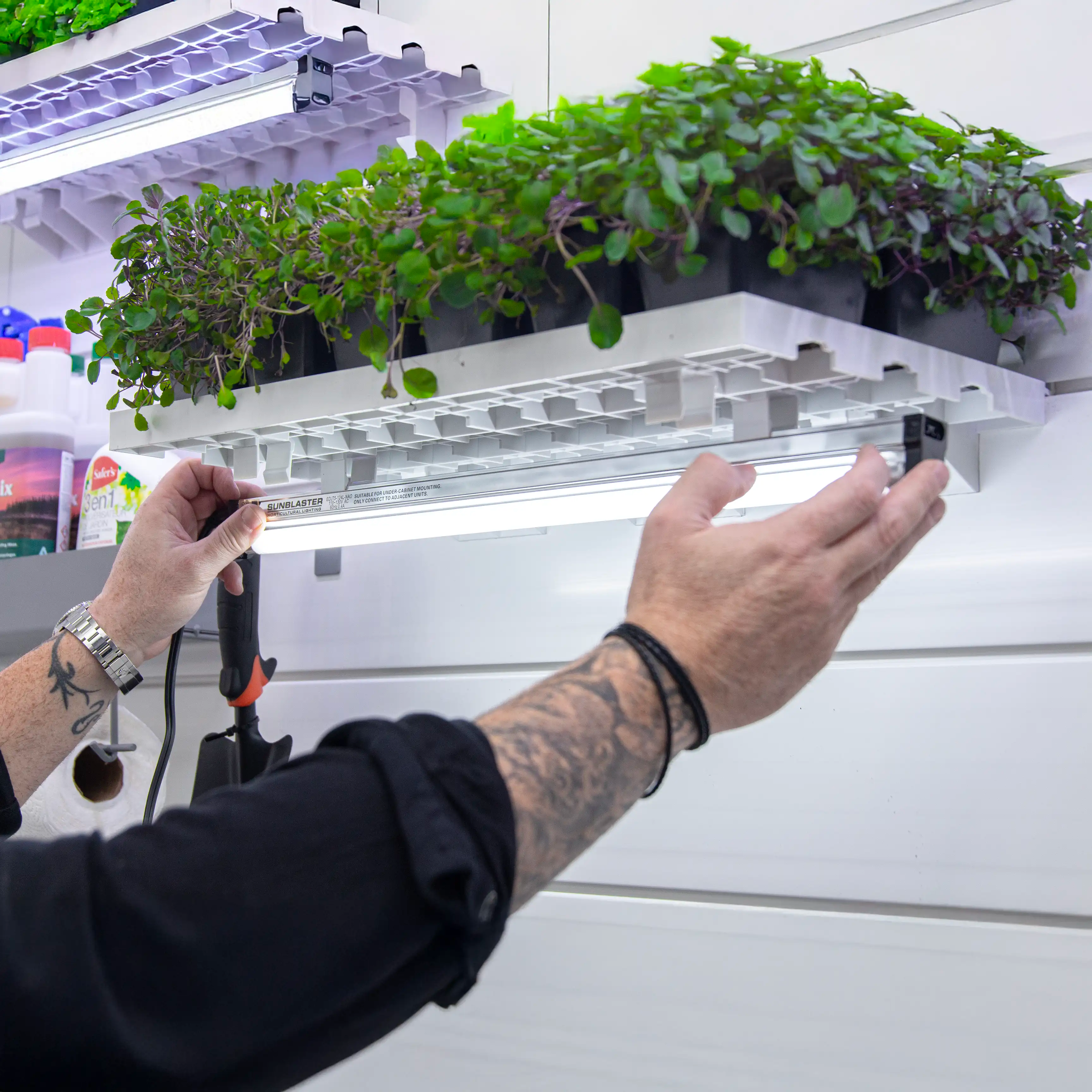 2ft - Grow Clone Light Mini - Halogen ( X1 Per Pack )