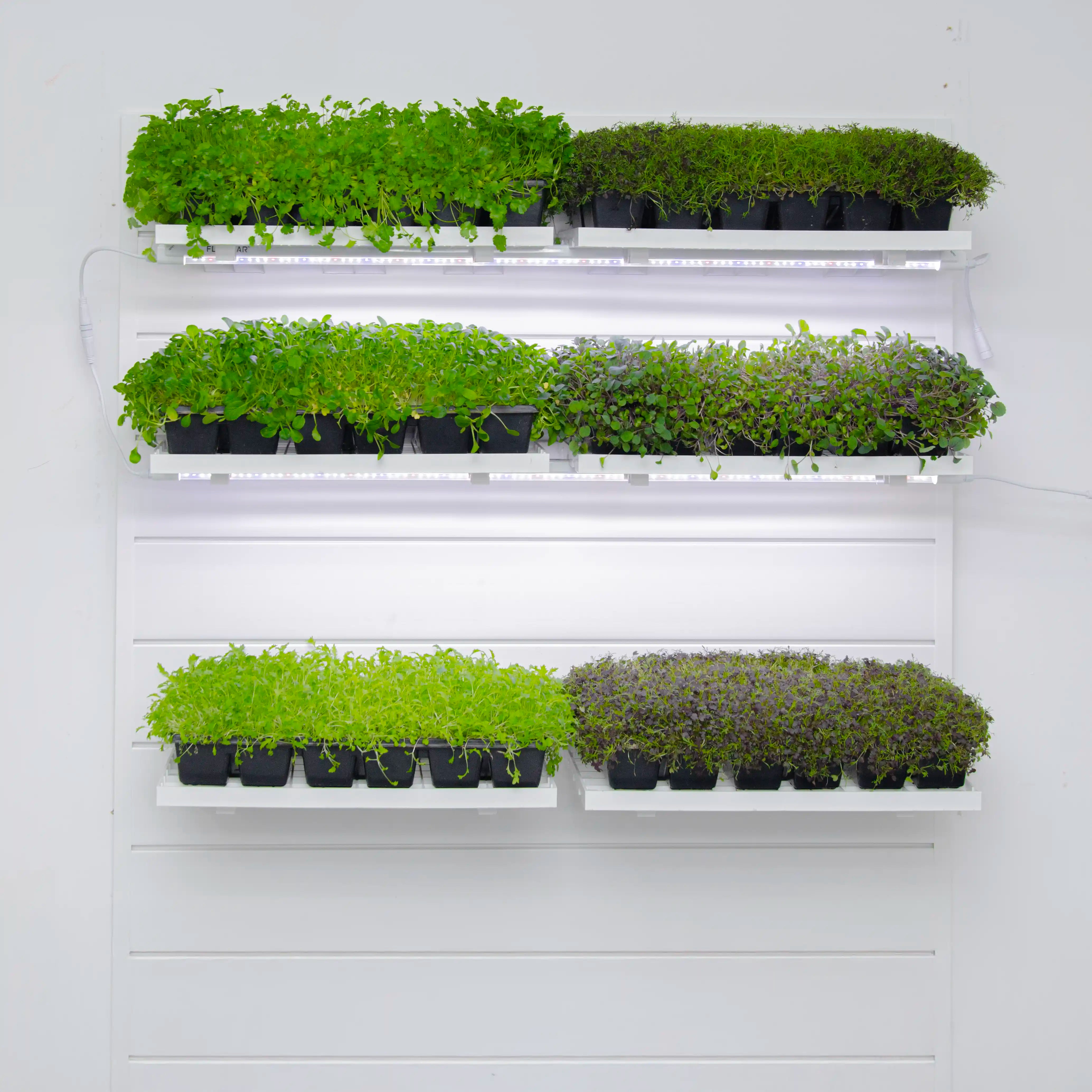 Full Plant Perch (Silver Kit)