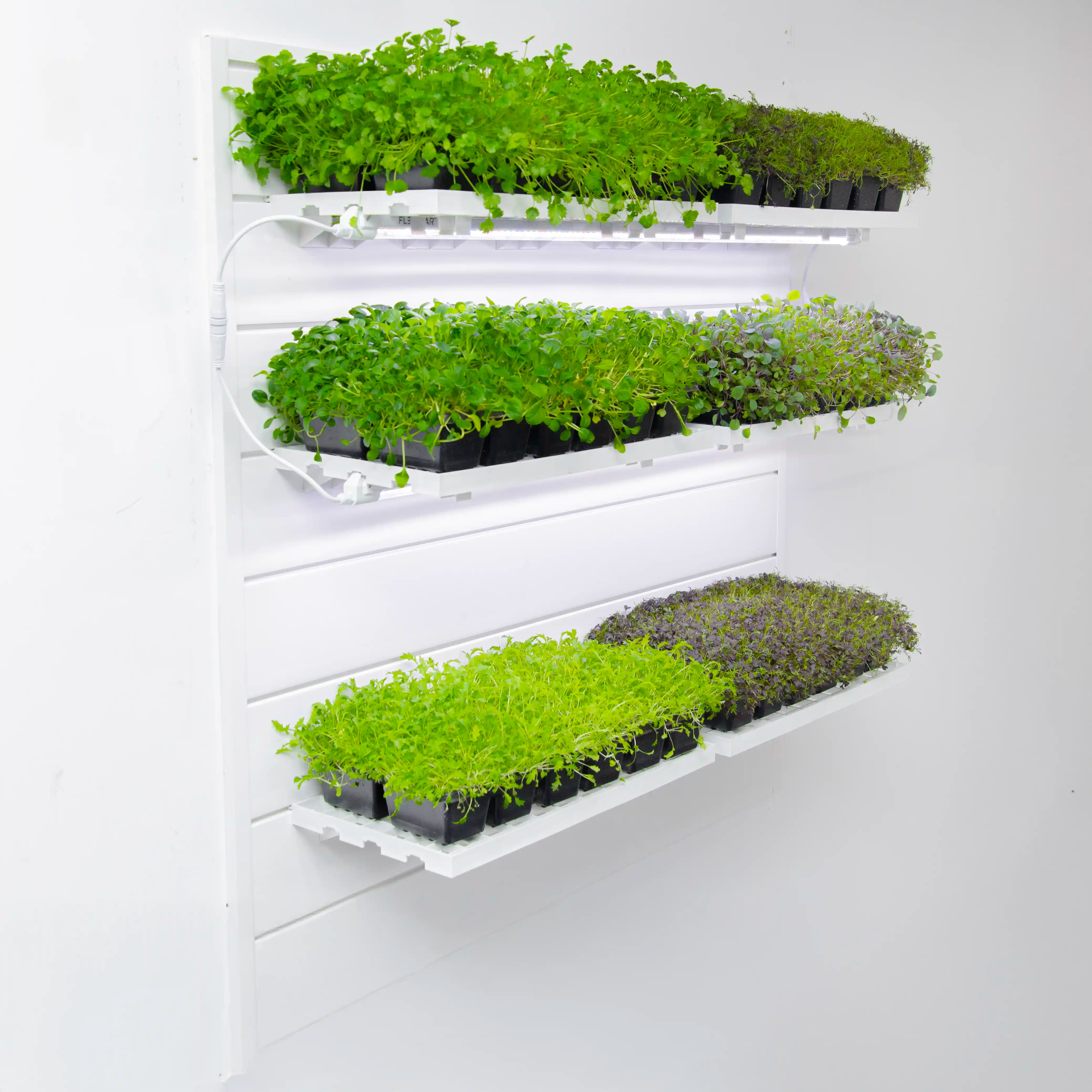 Full Plant Perch (Silver Kit)