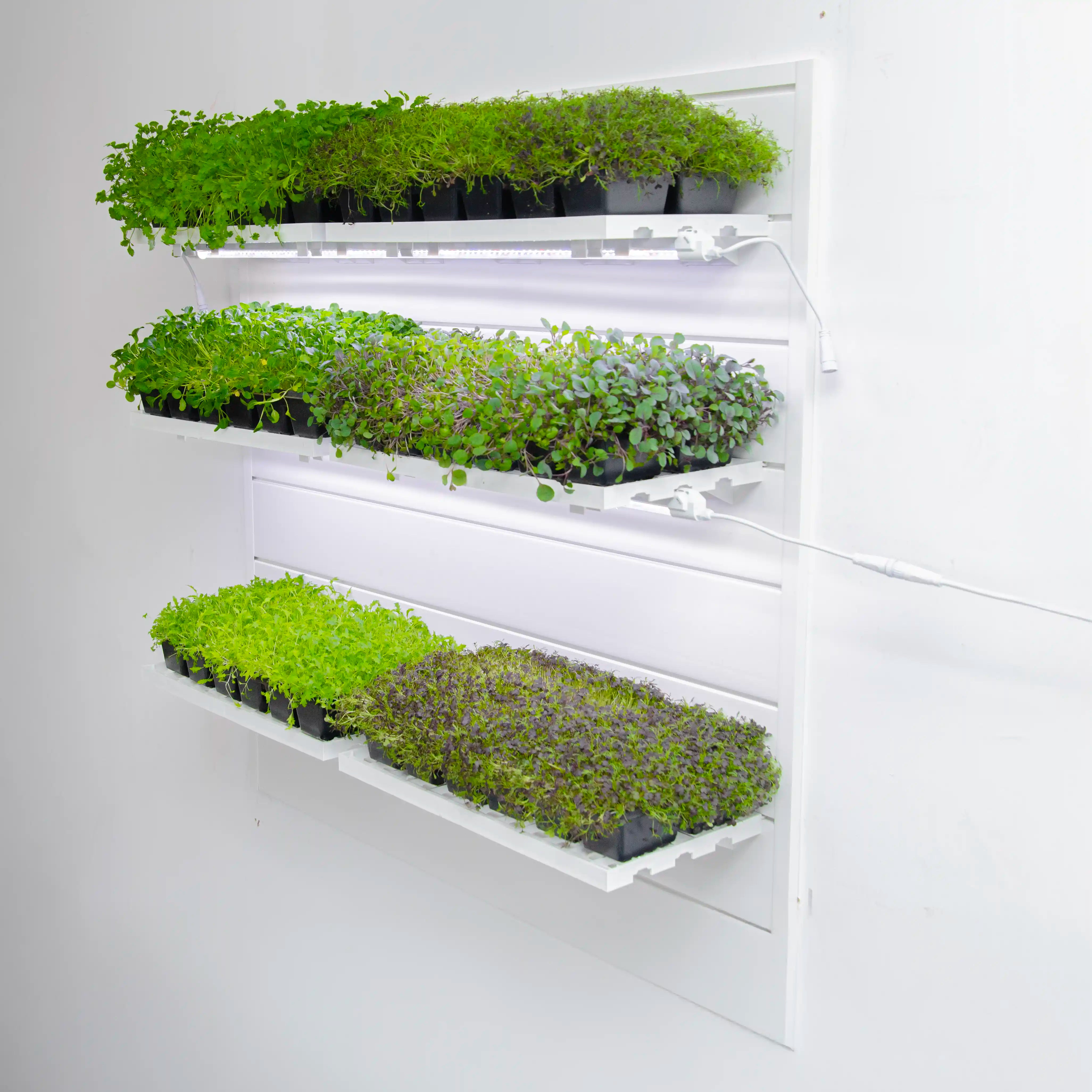 Full Plant Perch (Silver Kit)